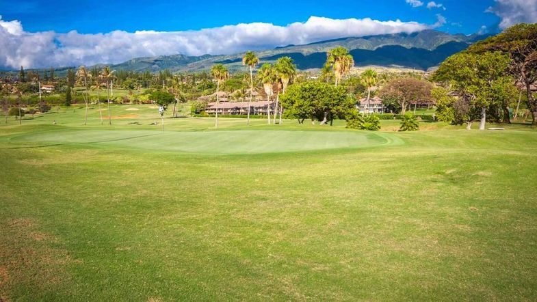 The Westin Maui Resort & Spa, Kaʻanapali fairways 2.jpg