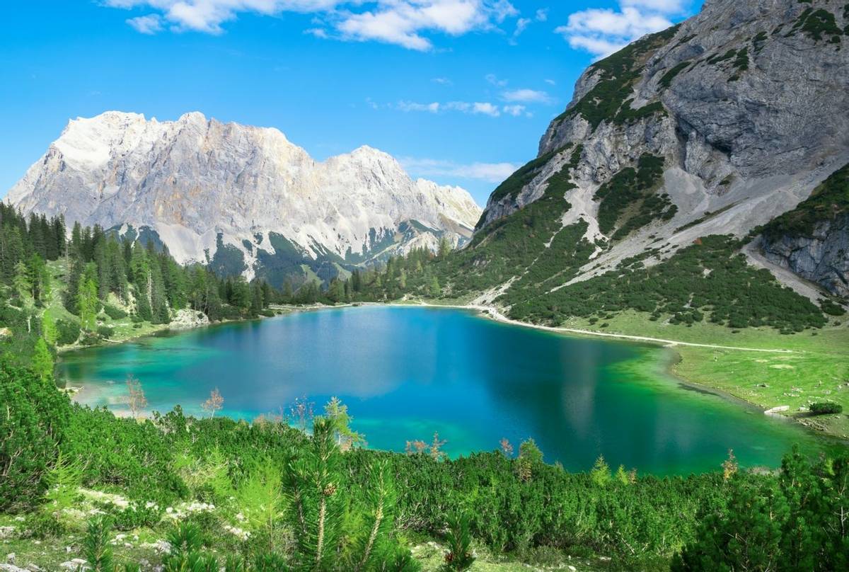 Go Slow in the Austrian Alps - Naturetrek