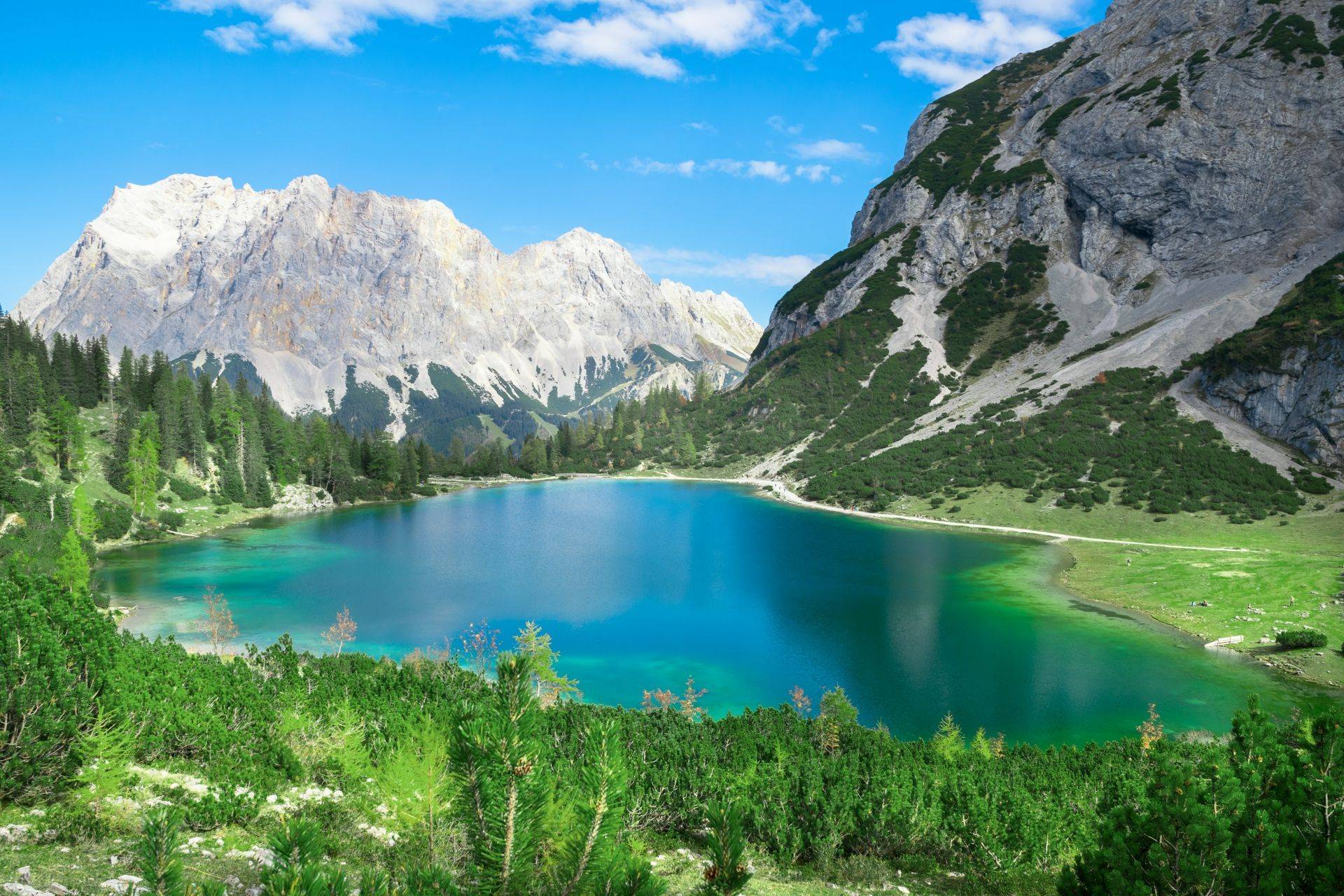 Go Slow in the Austrian Alps - Naturetrek