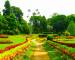 Royal Botanical garden Peradeniya at Sri Lanka