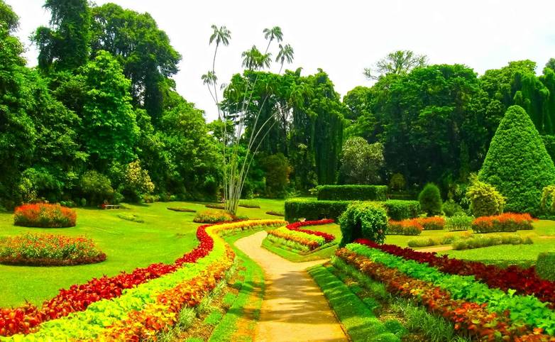 Royal Botanical garden Peradeniya at Sri Lanka