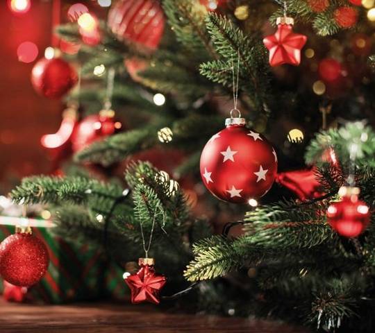 Festive spotlight