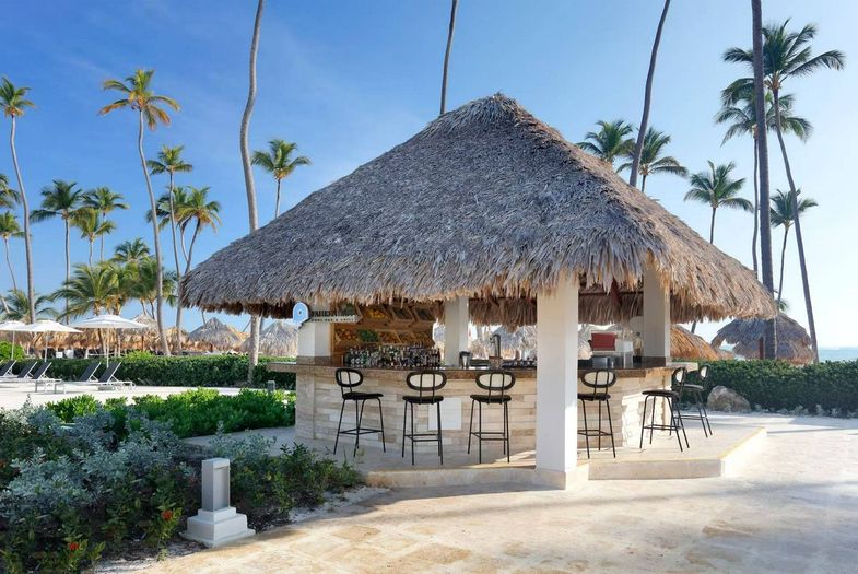 Paradisus Palma Real Golf & Spa Resort bar.jpg