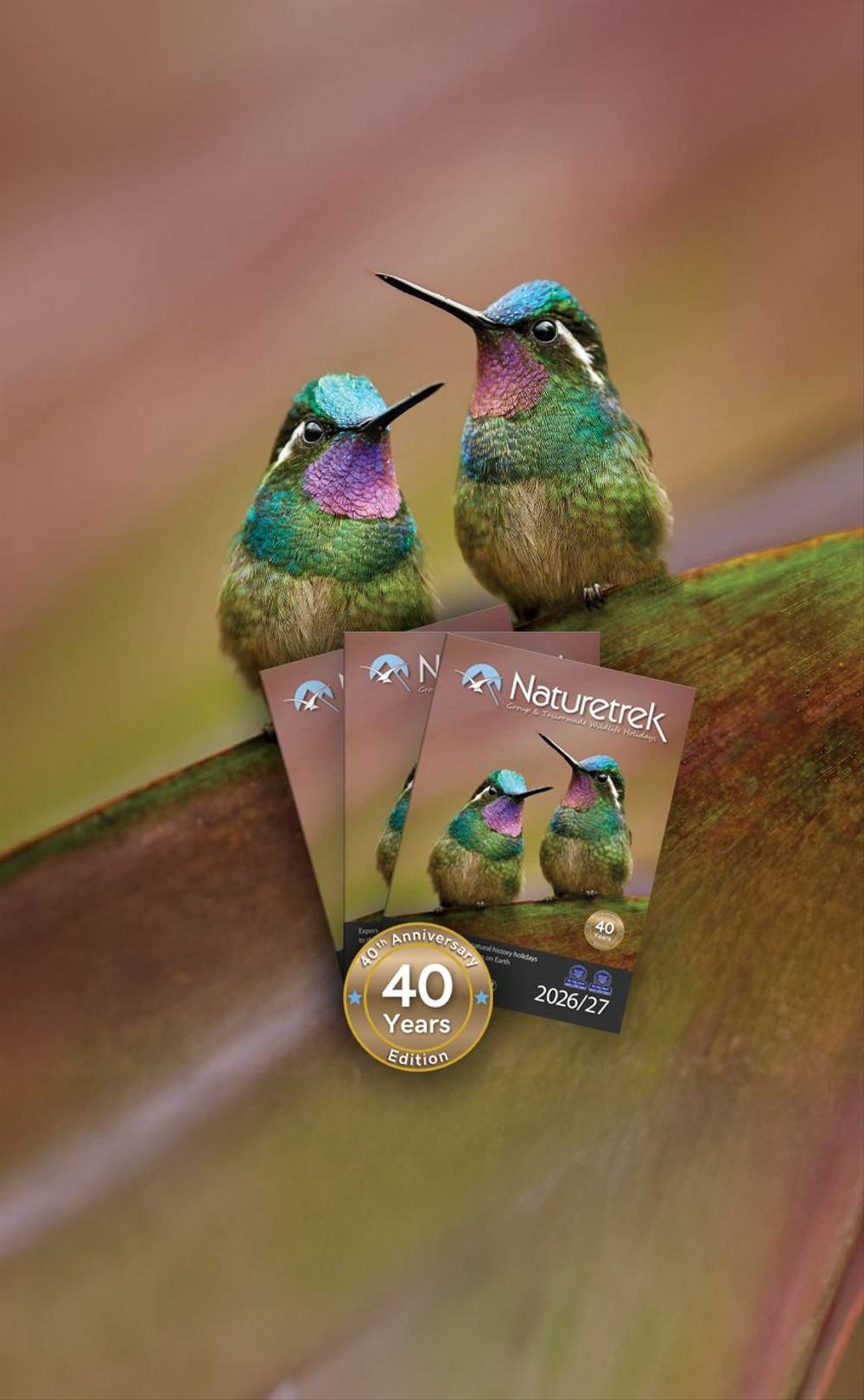 NEW 2026/27 Brochure Out Now