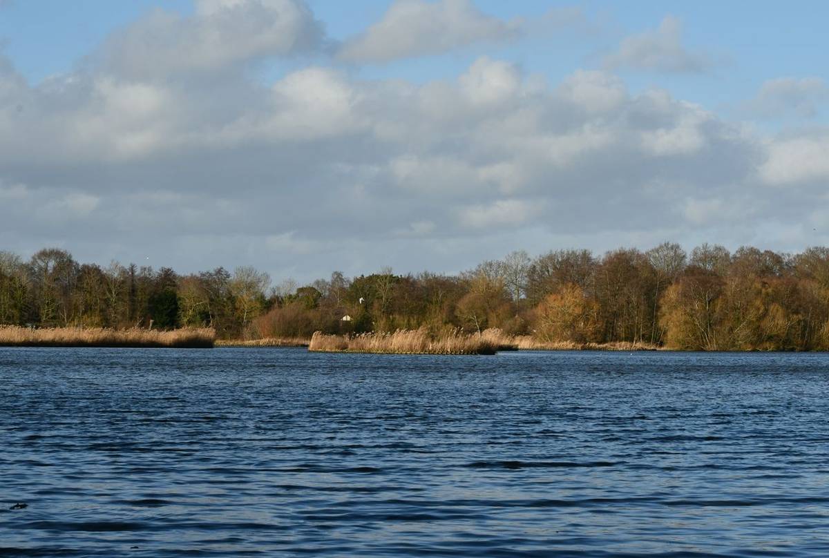 Fleet Pond, Hampshire shutterstock_1632731857.jpg