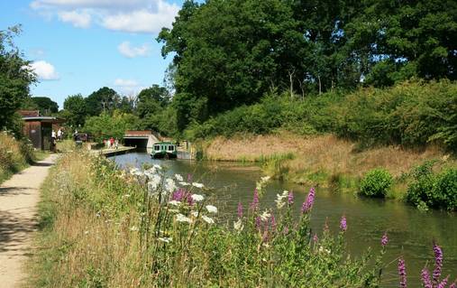 South Downs Railway and Canal Walks Holiday