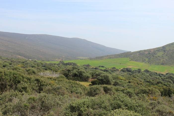 Tunisian landscapes © Mr M-A Dakhli