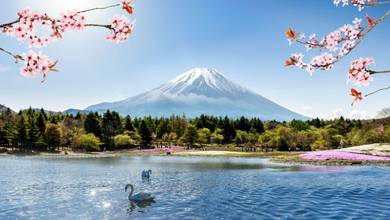Shutterstock 193421459 2
