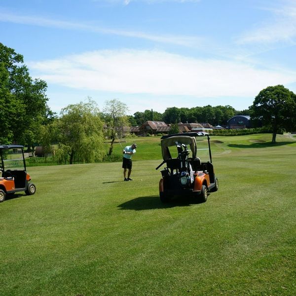 Golfers and buggies on the golf course