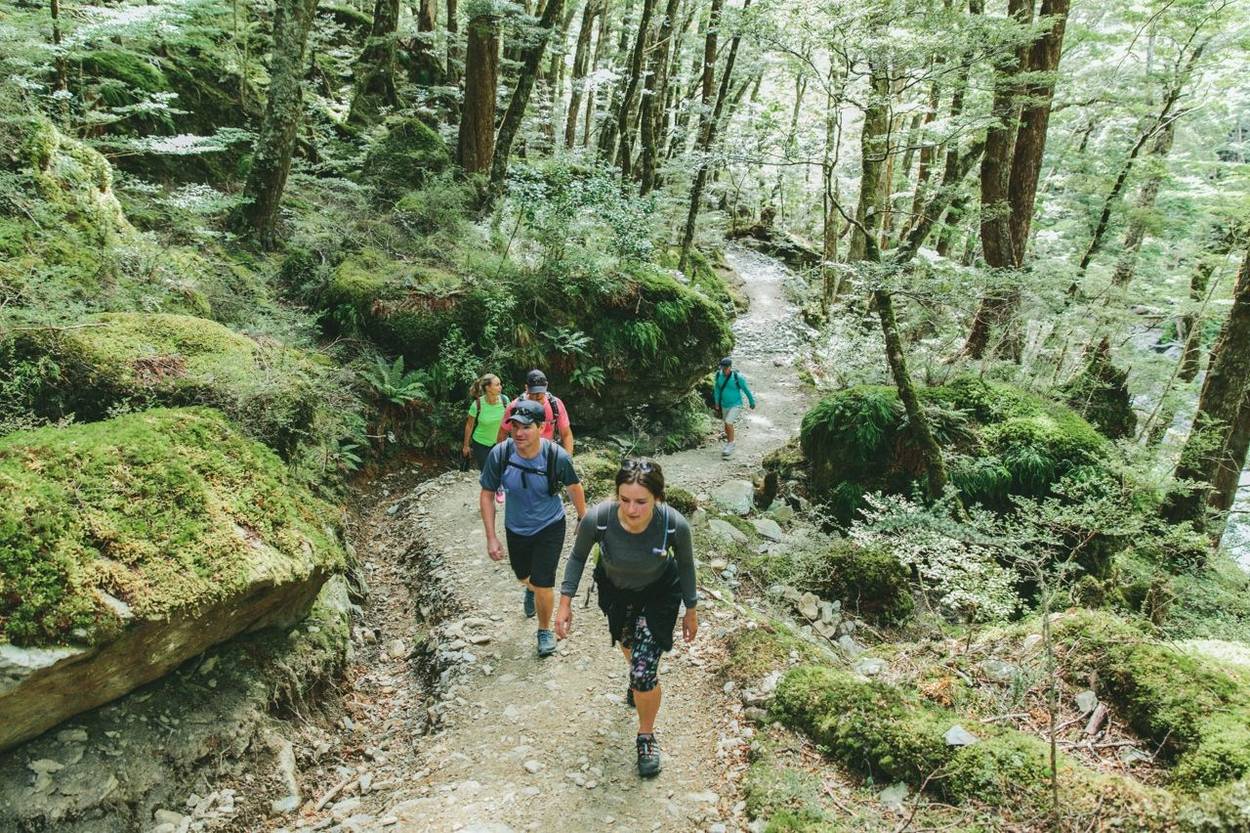 People walking in the forest whilst staying at the Aro Ha Retreat in New Zealand