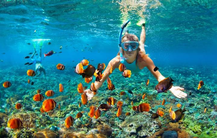 Happy family - couple in snorkeling masks dive deep underwater with tropical fishes in coral reef sea pool. Travel lifestyle… Happy family - couple in snorkeling masks dive deep underwater with tropical fishes in coral reef sea pool. Travel lifestyle…
