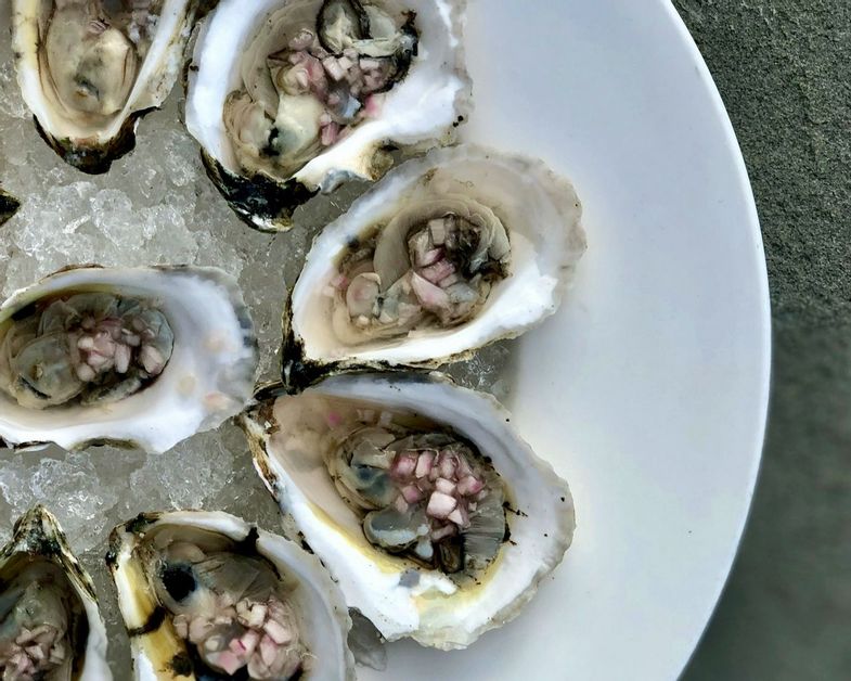 chatham-bars-inn-food-oysters-half-plate.jpg