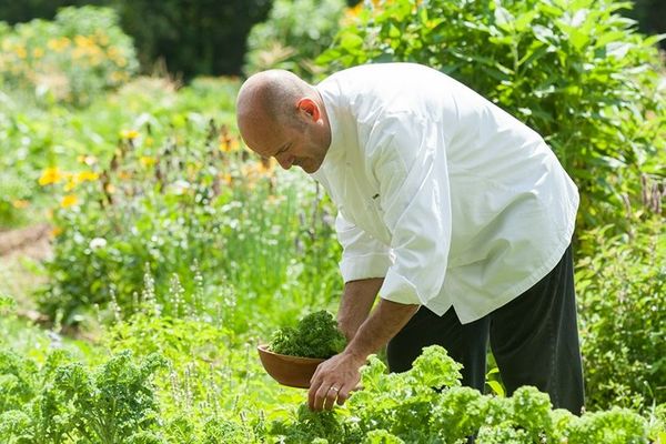 winviann-farm-dining-garden.jpg