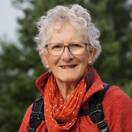 Jenny Willsher