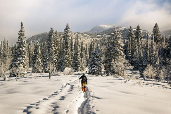 Ptarmigan-Steamboat Springs-ski-chris-holder-unsplash.jpg