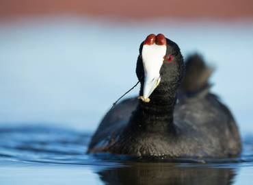 Spain's Costa Blanca