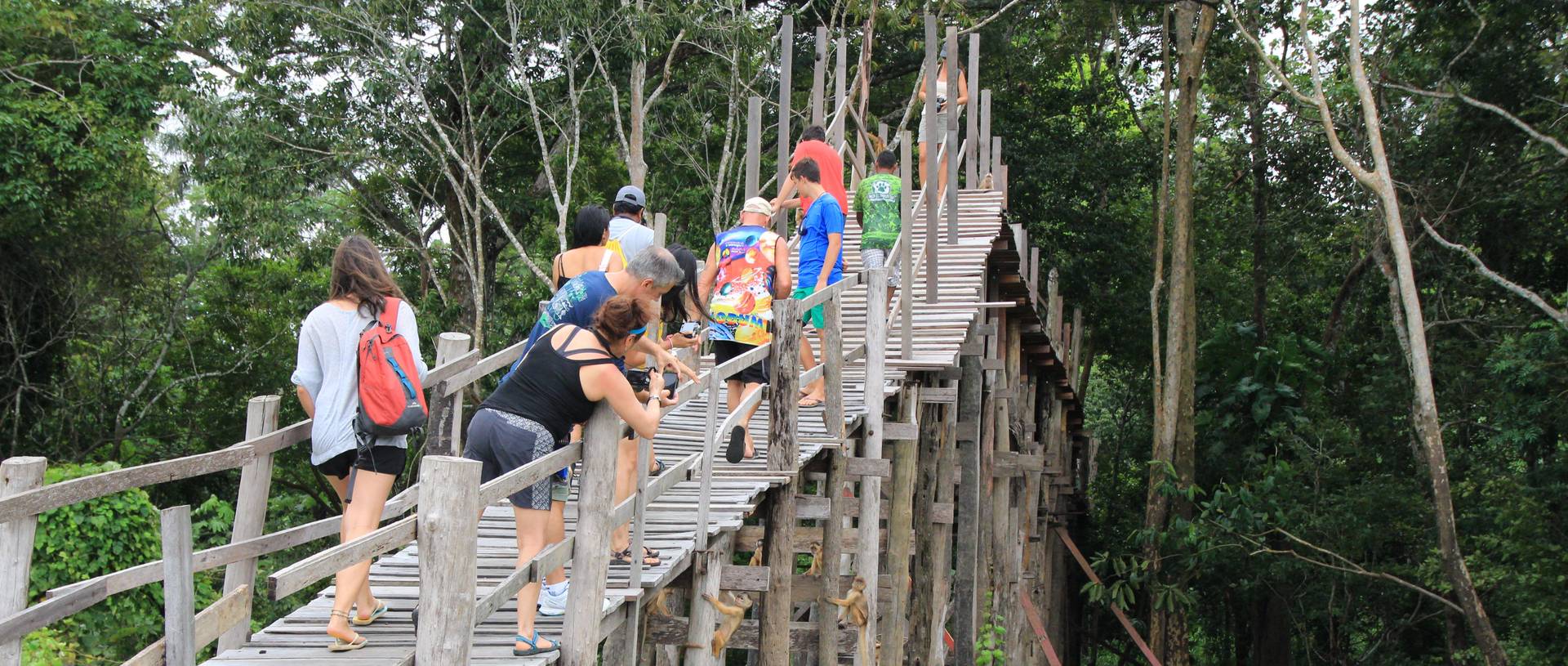 Day trip to sanctuary in Manaus.JPG