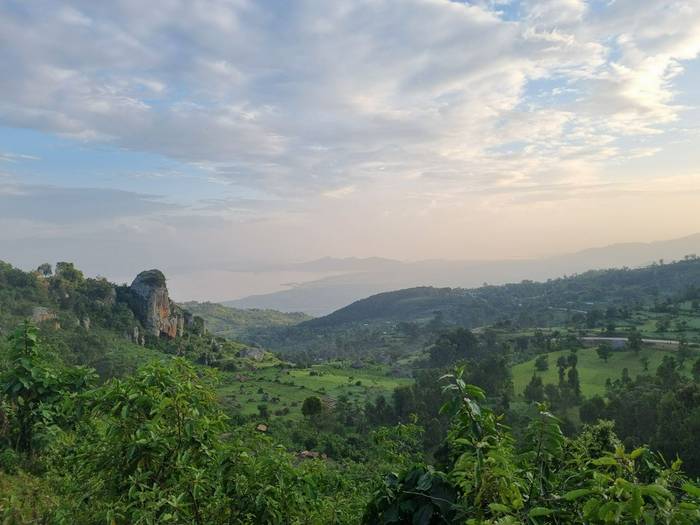 Dorze © Tim Young, November 2025 tour.jpg