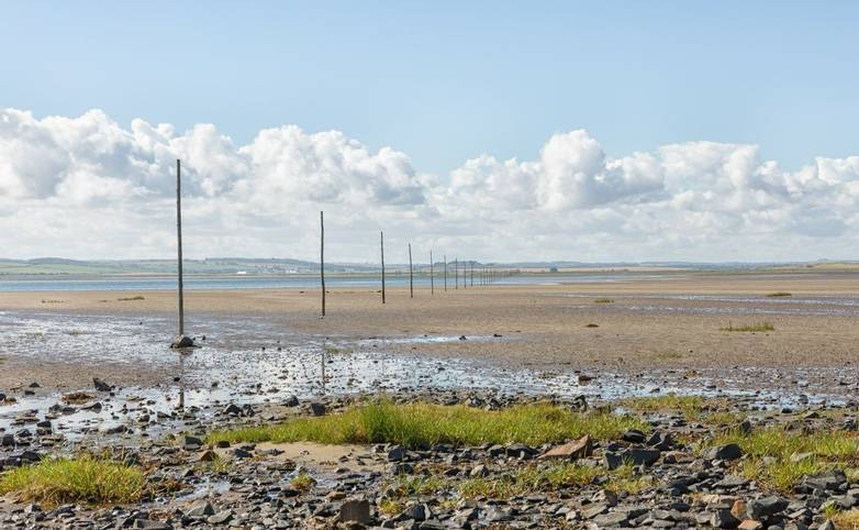 waymarking poles stretching across the causeway at Holy Island in Northumberland showing a safe route for walkers.