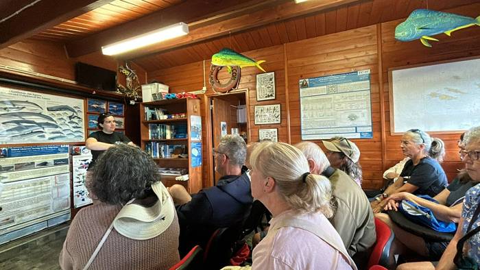 Whale watching briefing (Sara Frost).jpg