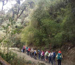 Sherpa Himalaya-Ghorepani-poonhill Trek (10).jpg