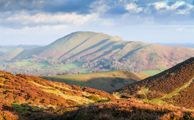 Autumnal Heather Hills Flooded in Warm Sunset Light, Carding Mill Valley in Church Stretton, Shropshire