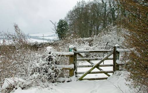 3 Night South Downs Festive Guided Walking Holiday