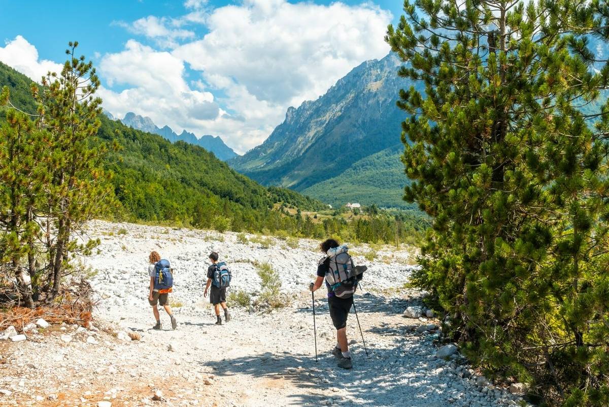 Hikers walking on the Valbona Valley trail alongside trees, Theth National Park, Albanian Alps, Albania