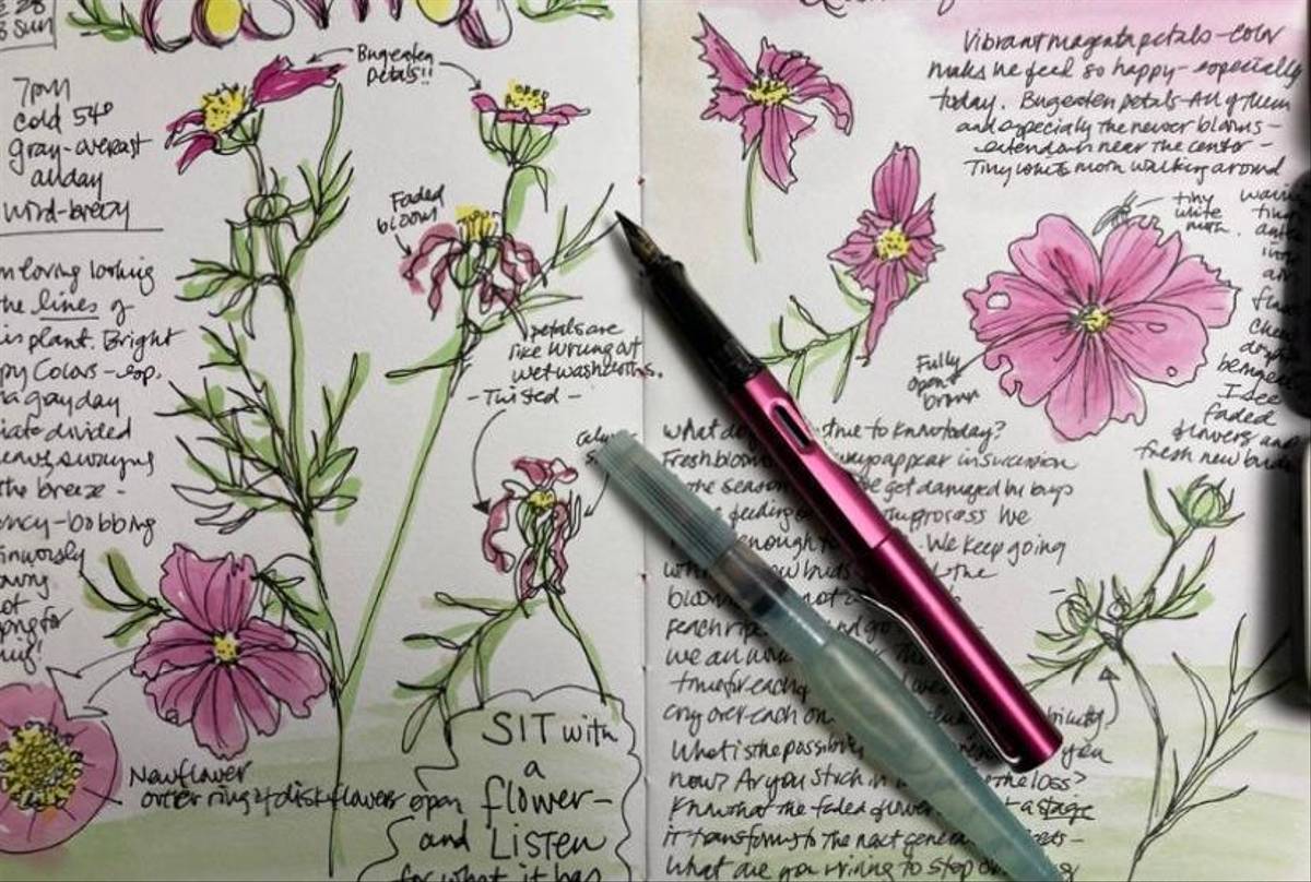 Nature Journalling (Melinda Nakagawa)