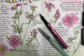 Nature Journalling (Melinda Nakagawa)