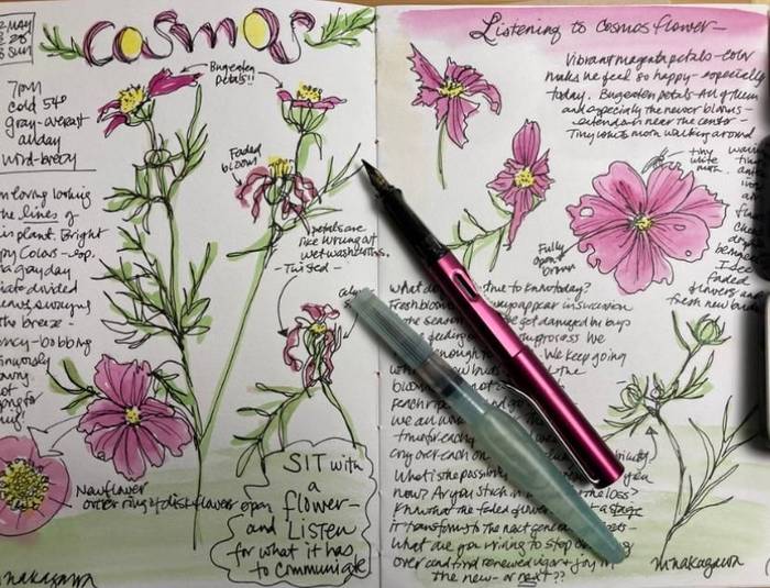 Nature Journalling (Melinda Nakagawa)