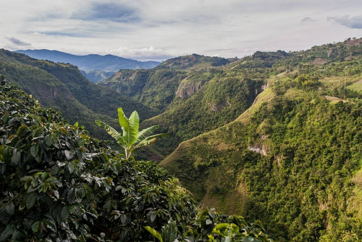 Cauca Valley, Colombia shutterstock_401480527.jpg