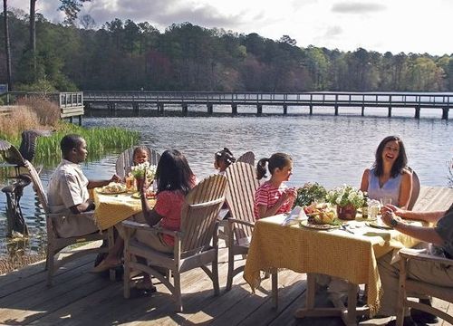 Picture-Perfect Picnics