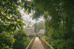 pooks-hill-belize-12.jpg