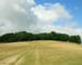 Chanctonbury Ring from SE on South Downs Way.JPG