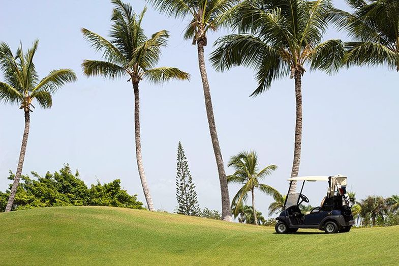Paradisus Palma Real Golf & Spa Resort cart.jpg
