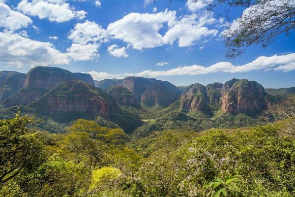 Amboro National Park