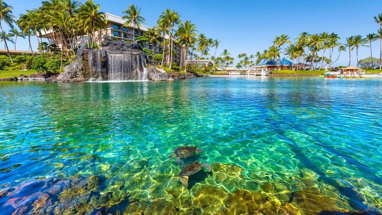 Hilton Waikoloa Village Turtle Lagoon.jpg