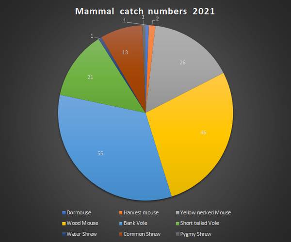 Small Mammal Survey Results