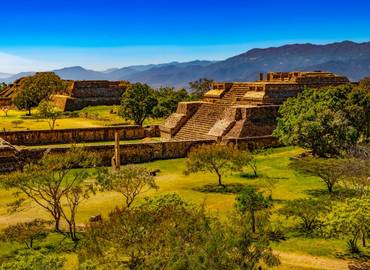 Mexico - Birding & Culture in Oaxaca