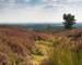 Whitby - AdobeStock_119692272.jpeg