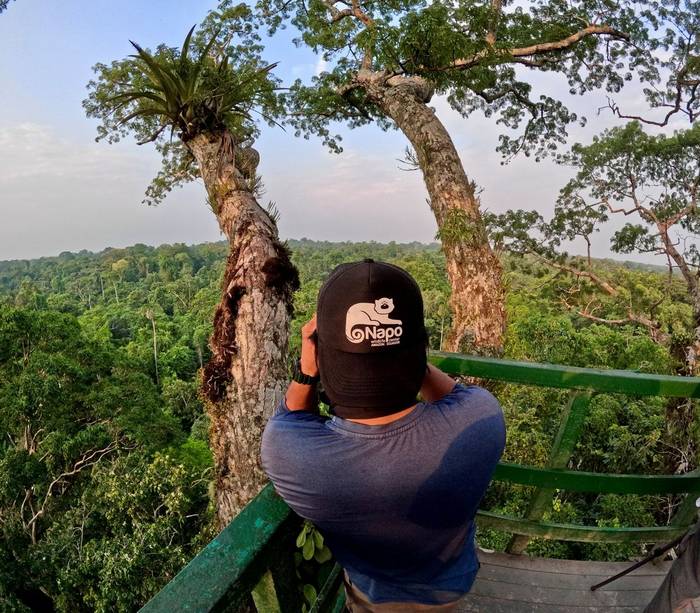 Napo observation tower © Dan Lay
