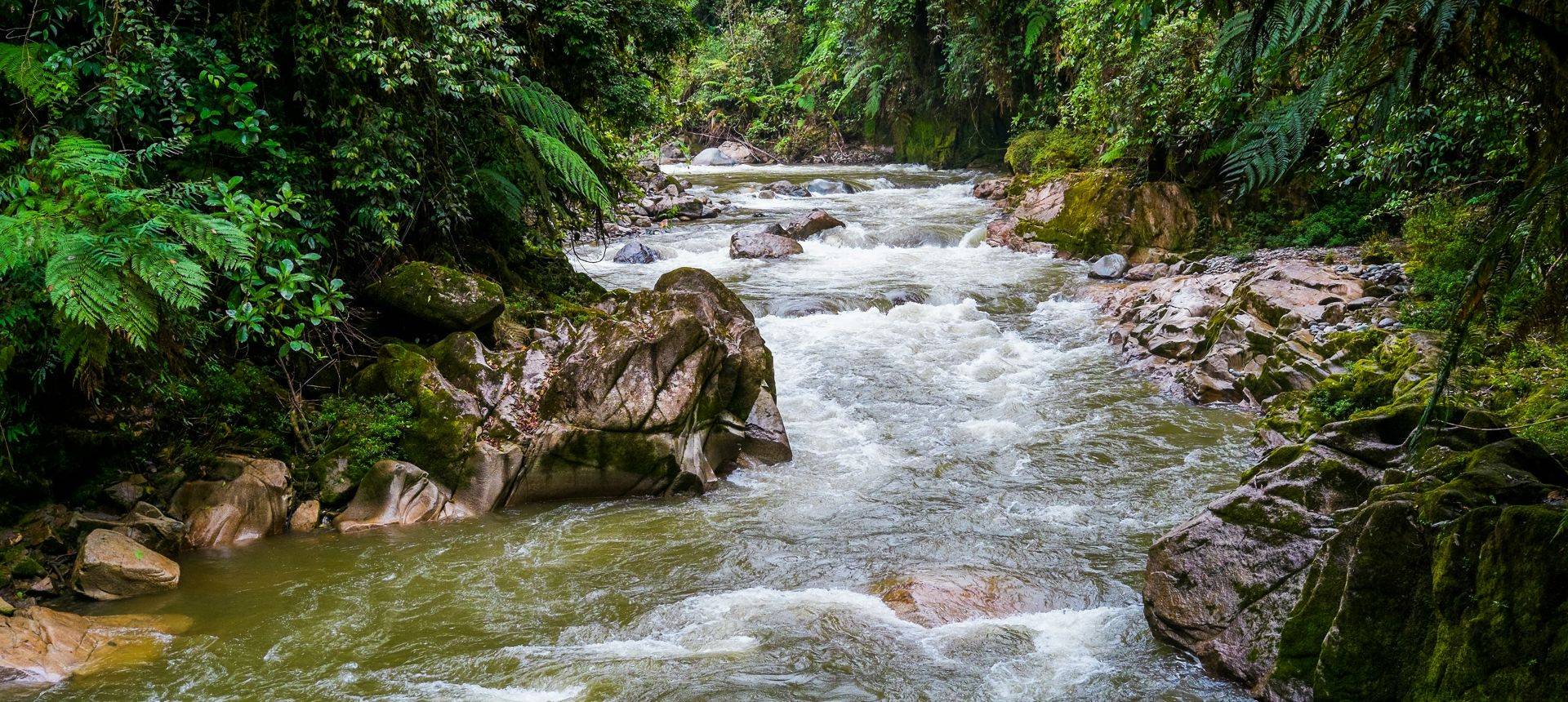 Podocarpus National Park, Ecuador Shutterstock 368528963