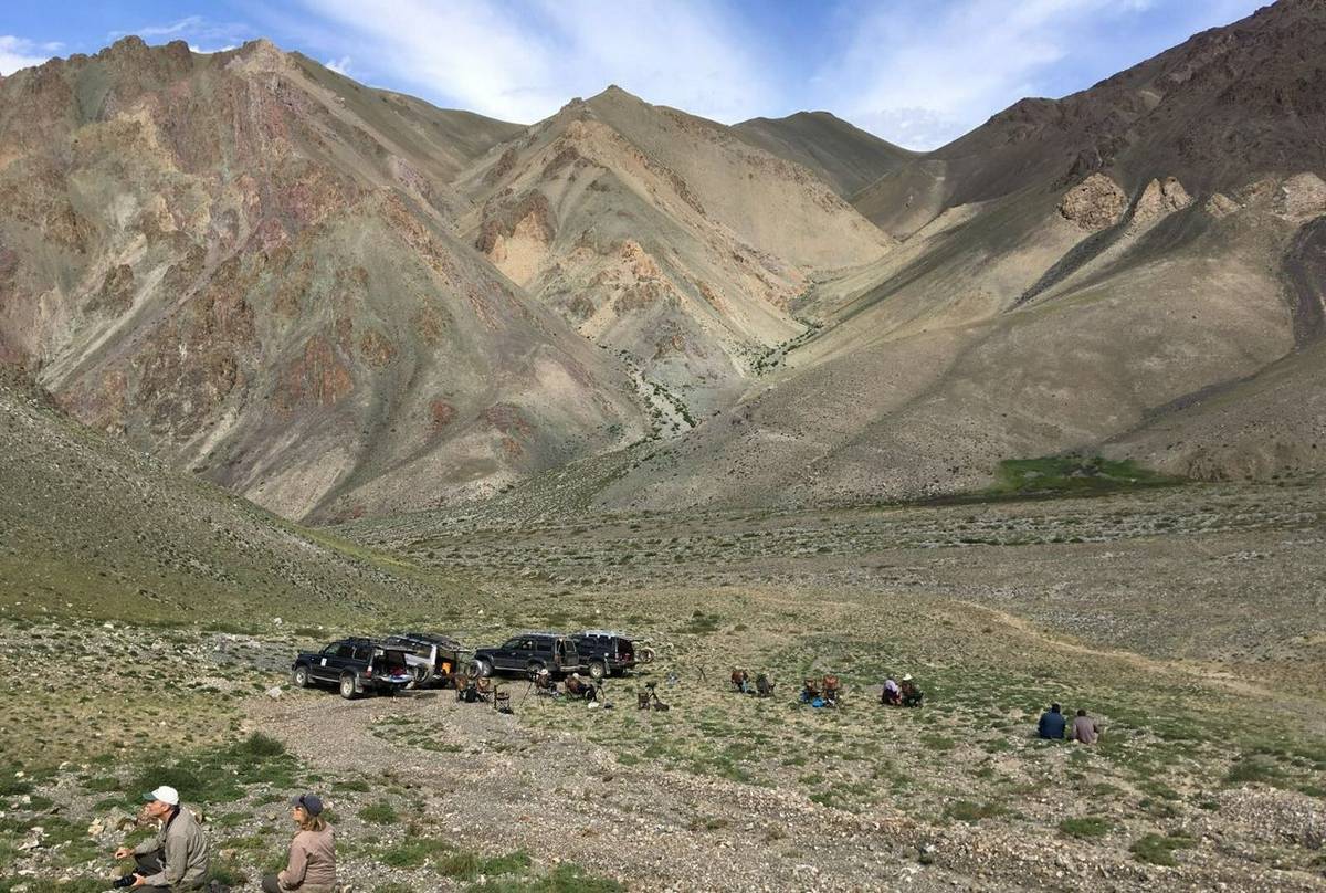 Scanning for Snow Leopards in Altai Mountains