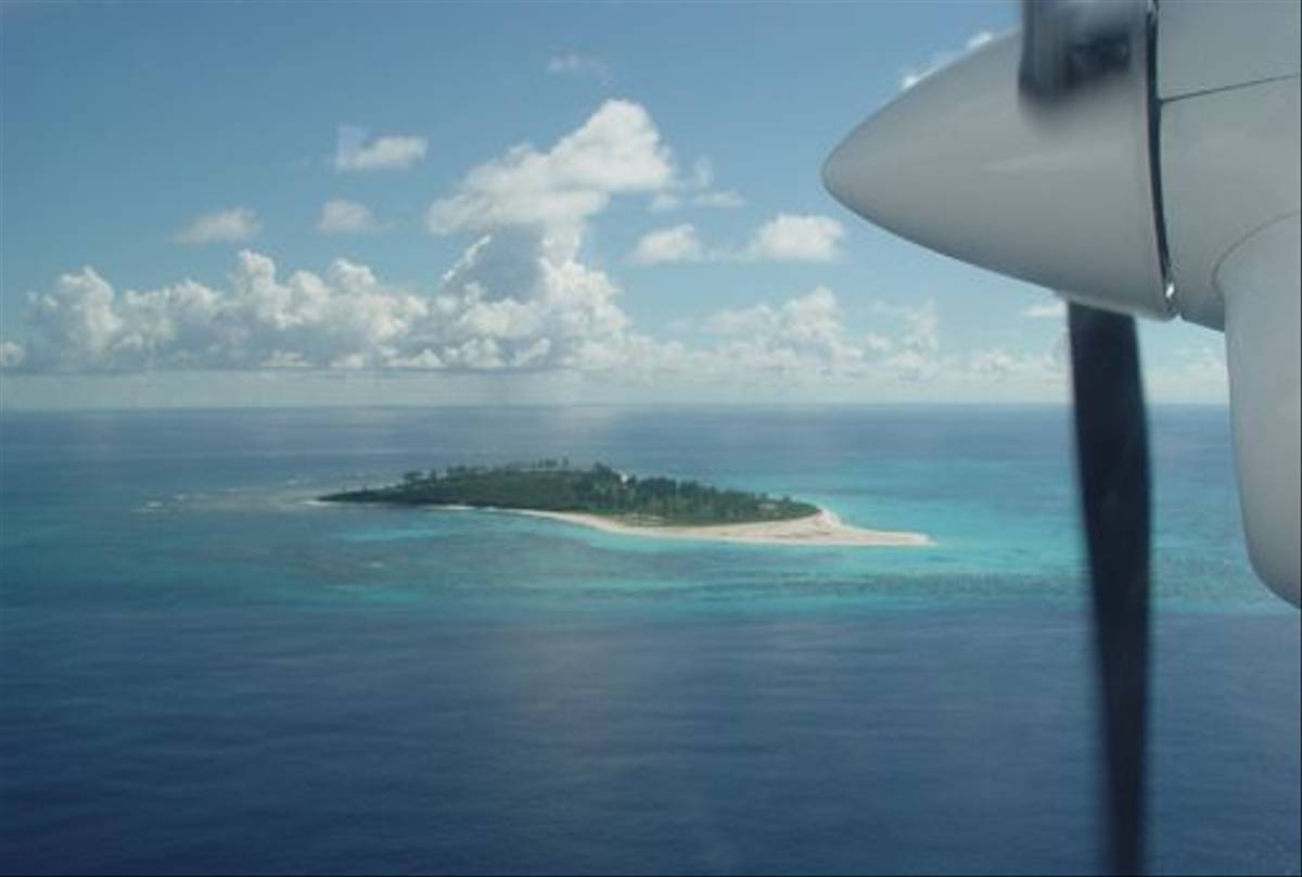 Bird Island Aerial