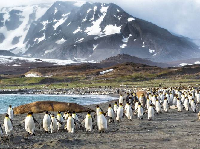 Falkland Islands