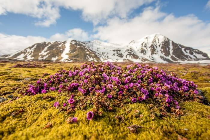 Spitsbergen Shutterstock 505298479