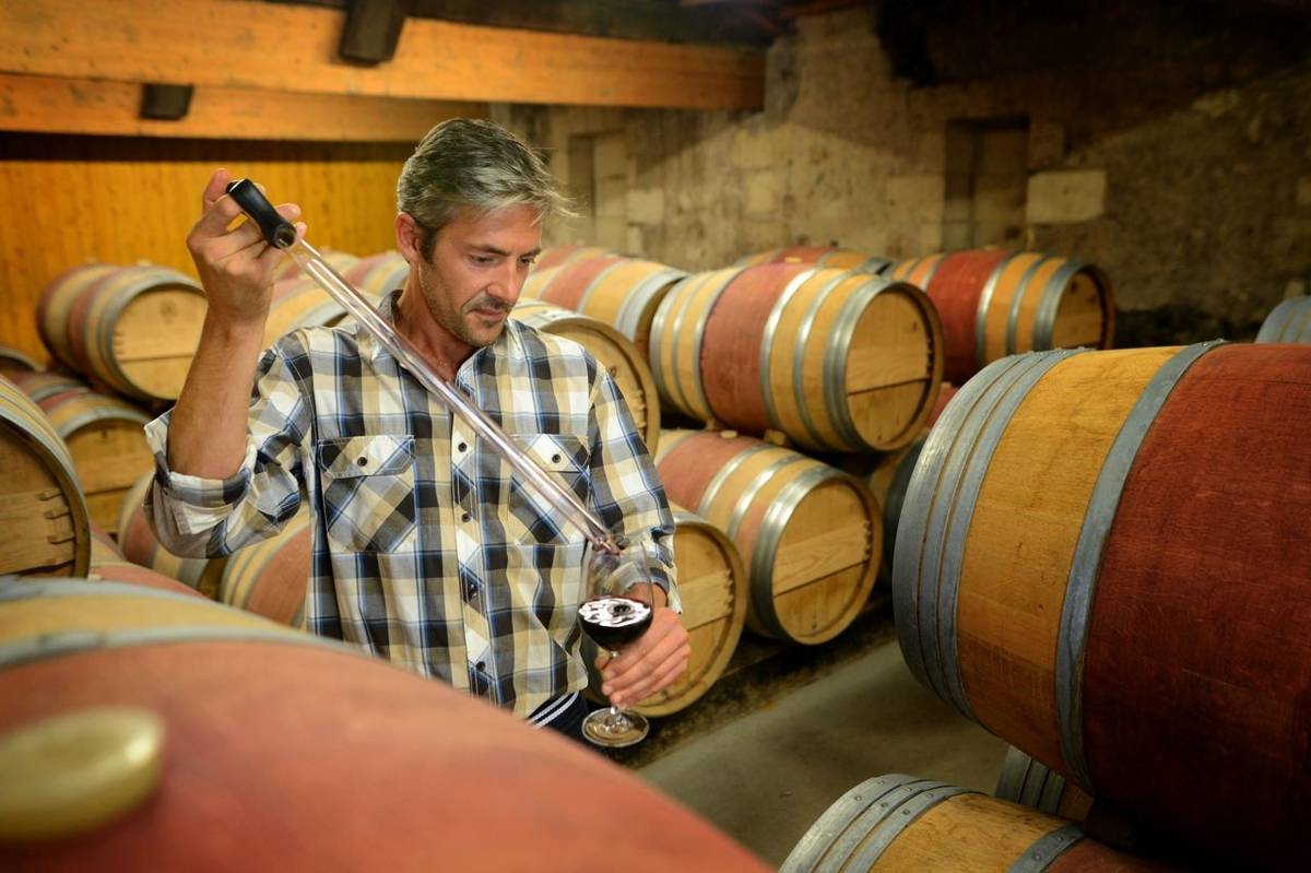 Winemaker getting sample of red wine from barrel
