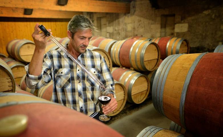 Winemaker getting sample of red wine from barrel