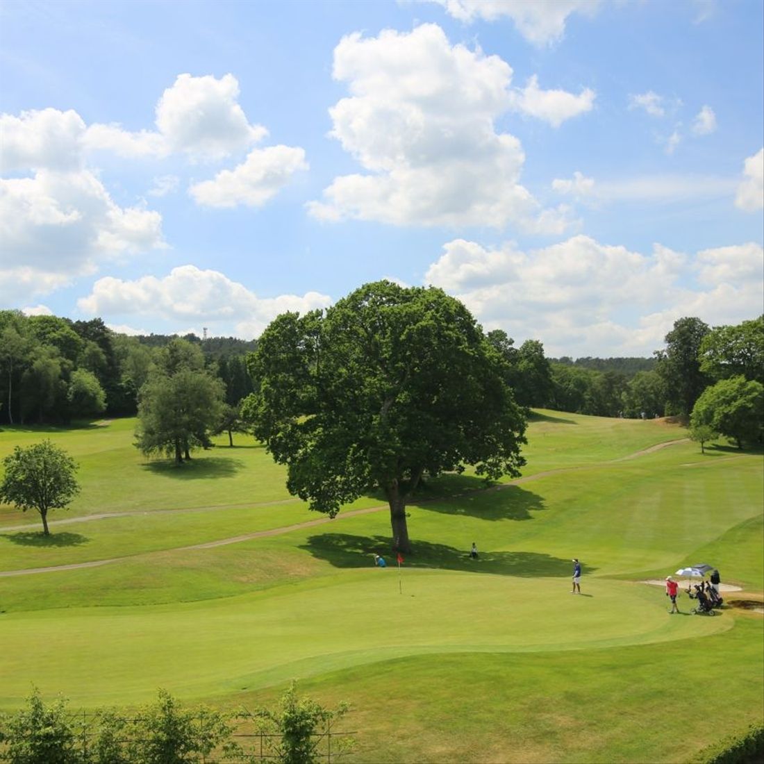 18 hole championship golf course during summer